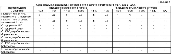 Способ получения анаплазменного антигена для серологической диагностики у животных (патент 2372098)