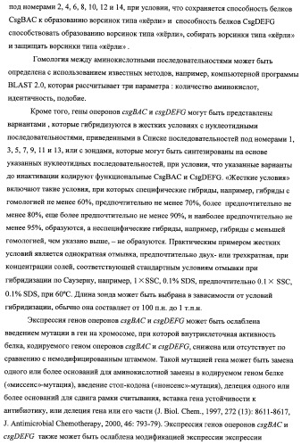 Способ получения l-треонина с использованием бактерии, принадлежащей к роду escherichia, модифицированной таким образом, что в ней нарушена способность к образованию ворсинок типа &quot;керли&quot; (патент 2338782)