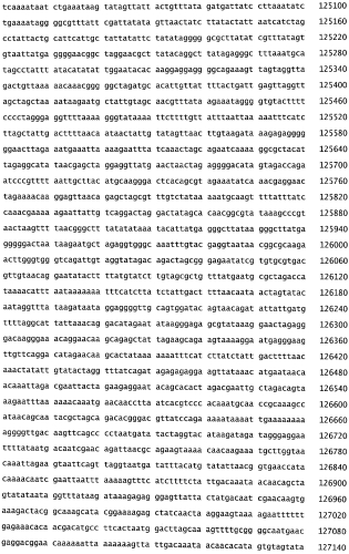 Бактериофаг, обладающий активностью против pseudomonas aeruginosa, белки бактериофага и способы их применения (патент 2580248)