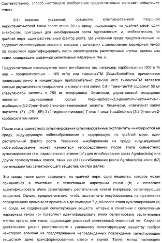 Улучшенная трансформация сои (патент 2389797)