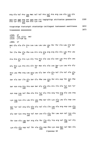 Способ получения лилий, содержащих в лепестках делфинидин (патент 2590722)