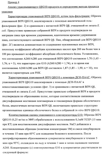 Упакованные иммуностимулирующей нуклеиновой кислотой частицы, предназначенные для лечения гиперчувствительности (патент 2451523)