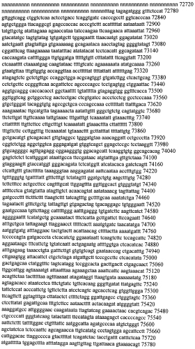 Модуляция экспрессии гентингтина (патент 2562861)