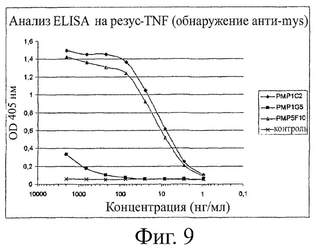 Улучшенные нанотела против фактора некроза опухоли-альфа (патент 2464276)