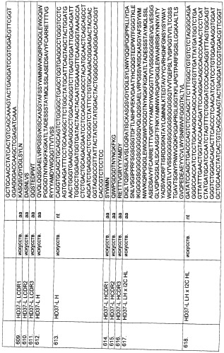 Pscaxcd3, cd19xcd3, c-metxcd3, эндосиалинxcd3, epcamxcd3, igf-1rxcd3 или fap-альфаxcd3 биспецифическое одноцепочечное антитело с межвидовой специфичностью (патент 2547600)