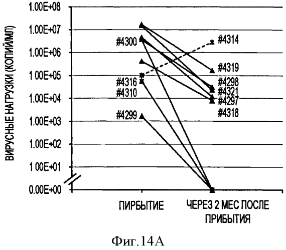 Вакцины на основе свиного вируса torque teno и способы диагностики инфекций, вызванных этим вирусом (патент 2553223)