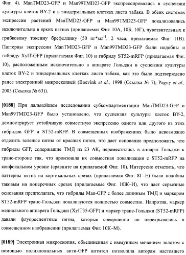 Набор последовательностей для таргетинга экспрессии и контроля посттрансляционных модификаций рекомбинантного полипептида (патент 2481399)