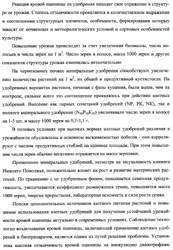 Способ возделывания яровой пшеницы предпочтительно в зоне светло-каштановых почв нижнего поволжья (варианты) (патент 2348137)