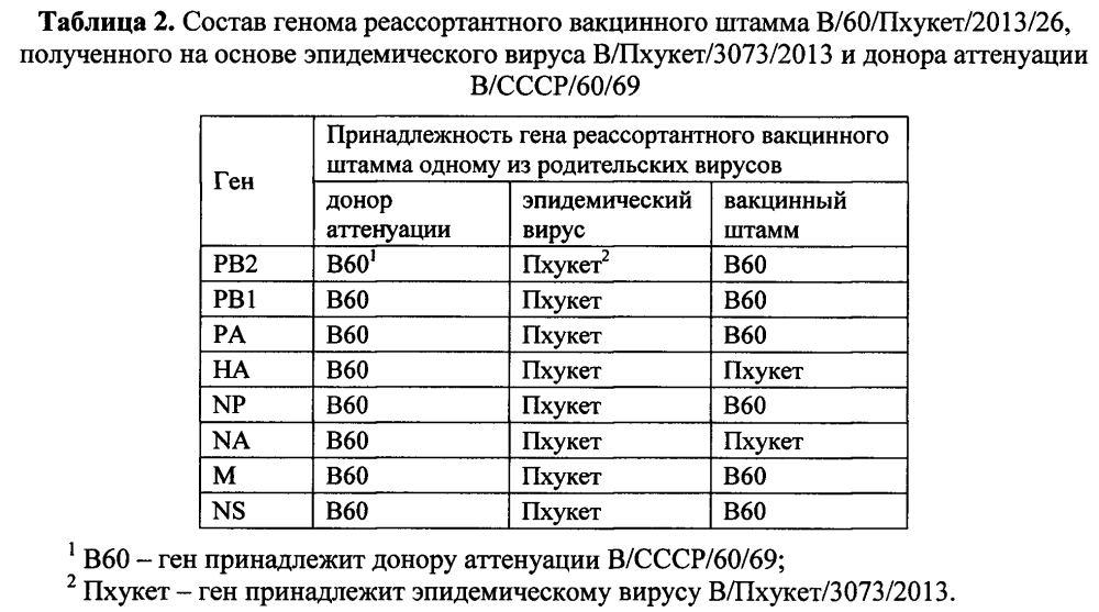 Штамм вируса гриппа в/60/пхукет/2013/26 для производства живой гриппозной интраназальной вакцины для взрослых и для детей (патент 2605926)