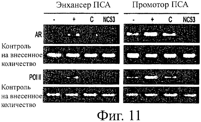 Диарилтиогидантоиновые соединения (патент 2449993)