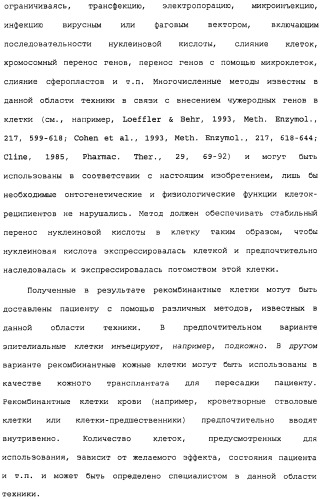 Поликлональное антитело против nogo, фармацевтическая композиция и применение антитела для изготовления лекарственного средства (патент 2432364)