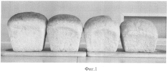 Способ производства хлеба профилактической направленности, композиция для производства хлеба профилактической направленности из пшеничной муки и композиция для производства хлеба профилактической направленности из смеси ржаной и пшеничной муки (патент 2362304)