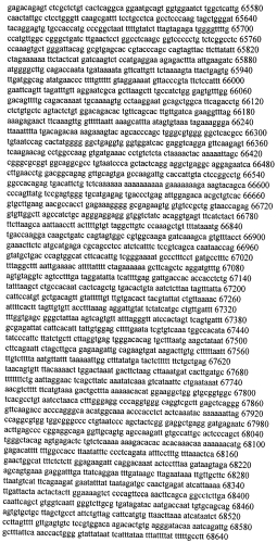 Модуляция экспрессии гентингтина (патент 2562861)