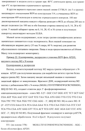 Вирусоподобные частицы, включающие гибридный белок белка оболочки бактериофага ар205 и антигенного полипептида (патент 2409667)