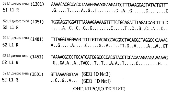 Оптимизированная экспрессия hpv 52 l1 в дрожжах (патент 2373219)