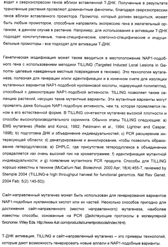 Способ повышения выхода семян растения, способ производства трансгенного растения, имеющего повышенную урожайность семян, генная конструкция для экспрессии в растении и трансгенное растение (патент 2409938)