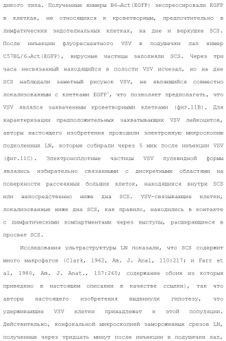 Включение адъюванта в иммунонанотерапевтические средства (патент 2496517)