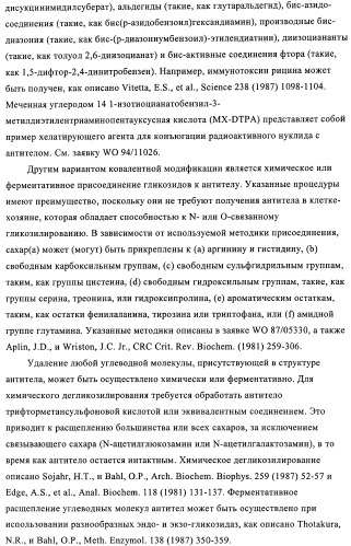 Антитела к рецептору инсулиноподобного фактора роста i и их применение (патент 2363706)