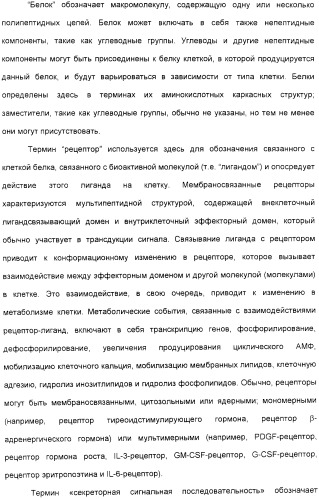 Выделенный полипептид, обладающий антивирусной активностью (варианты), кодирующий его полинуклеотид (варианты), экспрессирующий вектор, рекомбинантная клетка-хозяин, способ получения полипептида, антитело, специфичное к полипептиду, и фармацевтическая композиция, содержащая полипептид (патент 2321594)