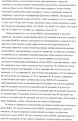 Линии клеток почки собаки майдин-дэрби (mdck), поддерживающие рост вирусов до высоких титров, и способ применения этих клеток в биореакторе (патент 2487935)