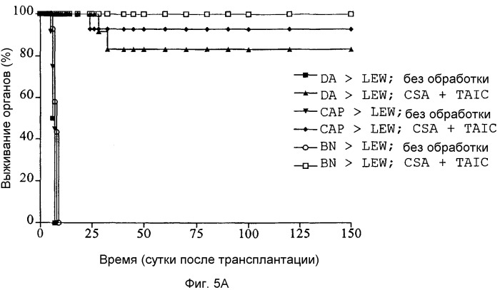 Способ получения индуцирующих воспринимаемость трансплантата клеток моноцитарного происхождения, способ получения фармацевтической композиции для подавления реакций отторжения трансплантата, индуцирующие воспринимаемость трансплантата клетки моноцитарного происхождения, клеточный препарат для индукции воспринимаемости трансплантата, фармацевтическая композиция для подавления реакций отторжения трансплантата, применение индуцирующих воспринимаемость трансплантата клеток (варианты), способ получения и/или размножения регуляторных т-лимфоцитов, гибридомная клеточная линия, антитело и применение антитела (патент 2370535)