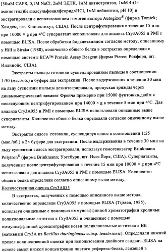 Вариант кукурузы mir604 (патент 2351122)
