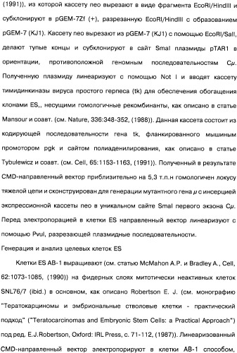 Человеческие моноклональные антитела к рецептору эпидермального фактора роста (egfr), способ их получения и их использование, гибридома, трансфектома, трансгенное животное, экспрессионный вектор (патент 2335507)