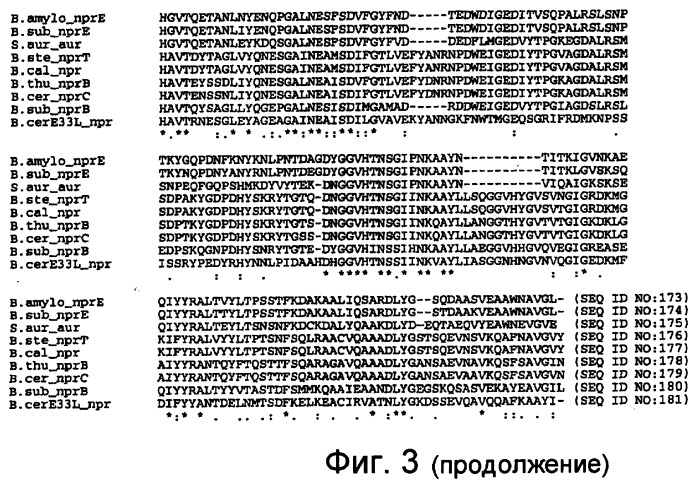 Применение и получение стабильной при хранении нейтральной металлопротеиназы (патент 2433182)