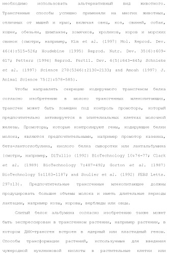 Слитые белки альбумина (патент 2369404)