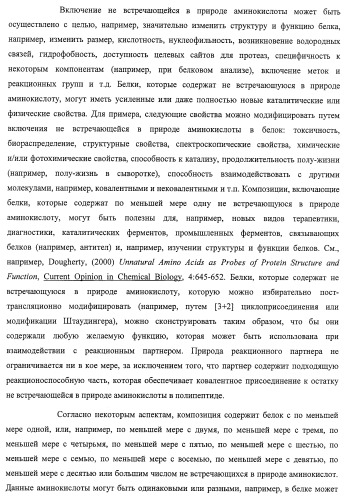 Система экспрессии компонентов ортогональной трансляции в эубактериальной клетке-хозяине (патент 2467069)