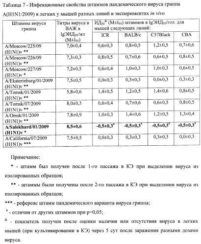 Штамм а/salekhard/01/2009(h1n1)v вируса гриппа а субтипа h1n1 для исследования лечебной и профилактической эффективности препаратов против вируса гриппа (патент 2457242)