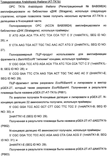 Растительные тимидинкиназы и их применение (патент 2339695)