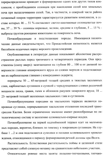 Способ прогнозирования семенной продуктивности солодки (патент 2364078)