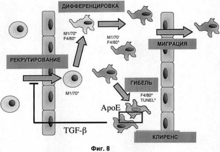 Способы и средства (патент 2480770)