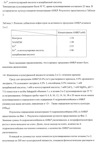 Способ продукции 4-гидрокси-l-изолейцина (патент 2402608)