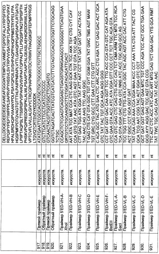 Pscaxcd3, cd19xcd3, c-metxcd3, эндосиалинxcd3, epcamxcd3, igf-1rxcd3 или fap-альфаxcd3 биспецифическое одноцепочечное антитело с межвидовой специфичностью (патент 2547600)