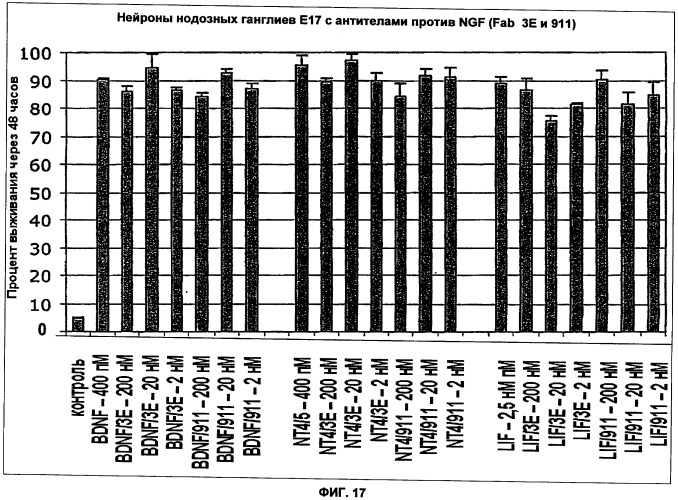Способы лечения боли, вызванной остеоартритом, путем введения антагониста фактора роста нервов и содержащих его композиций (патент 2429013)