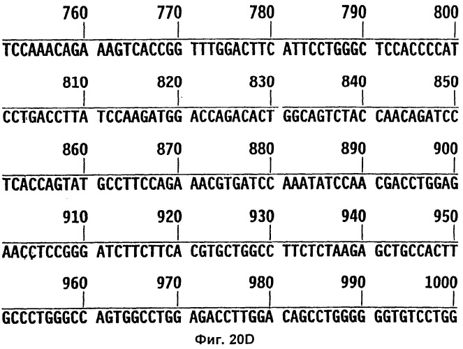 Полипептид ожирения (ов)(варианты), его аналог (варианты) и слитый белок (варианты), изолированная молекула нуклеиновой кислоты, молекула днк, рекомбинантный вектор клонирования, рекомбинантный вектор экспрессии, фармацевтическая композиция, моноклональное и поликлональное антитело (патент 2273645)