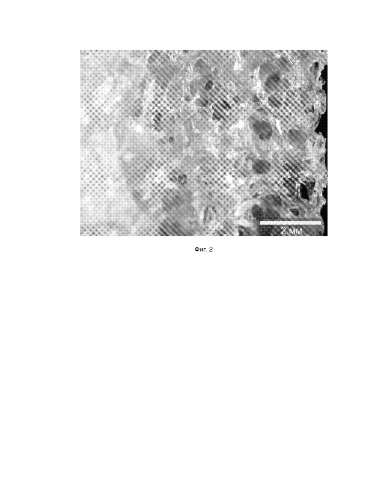 Биорезорбируемый биологический матрикс для замещения дефектов костной ткани и способ его получения (патент 2665962)