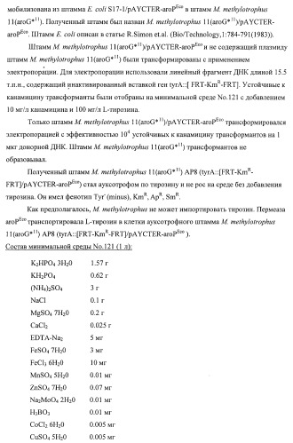 Способ придания бактерии, принадлежащей к роду methylophilus, ауксотрофности по l-аминокислоте, бактерия, принадлежащая к роду methylophilus, и способ продукции l-аминокислоты (патент 2395569)