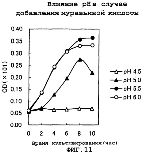 Способ получения l-глутаминовой кислоты (патент 2288271)