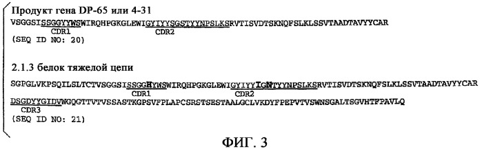 Применение антител к ctla-4 (патент 2346702)