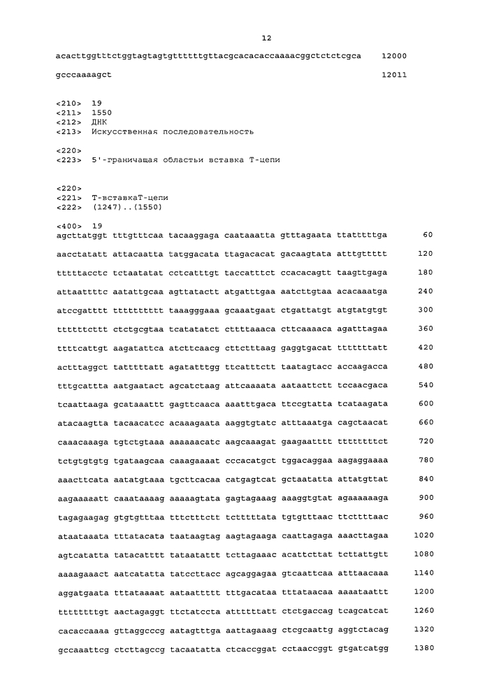 Линии трансгенной сои, генетическое событие 8264.42.32.1, устойчивое к гербицидам с пакетированными генами на его основе, и их детектирование (патент 2636021)