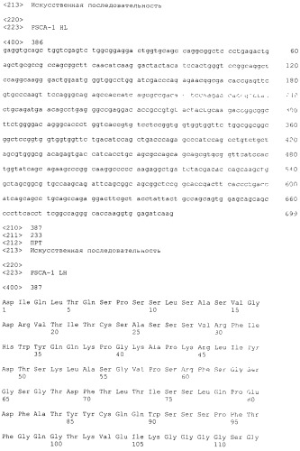 Pscaxcd3, cd19xcd3, c-metxcd3, эндосиалинxcd3, epcamxcd3, igf-1rxcd3 или fap-альфаxcd3 биспецифическое одноцепочечное антитело с межвидовой специфичностью (патент 2547600)