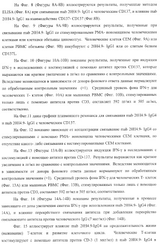 Человеческие антитела против человеческого 4-1вв (cd137) (патент 2376316)