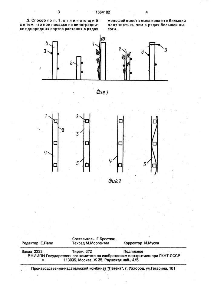 Способ выращивания виноградника (патент 1664182)