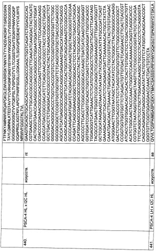 Pscaxcd3, cd19xcd3, c-metxcd3, эндосиалинxcd3, epcamxcd3, igf-1rxcd3 или fap-альфаxcd3 биспецифическое одноцепочечное антитело с межвидовой специфичностью (патент 2547600)