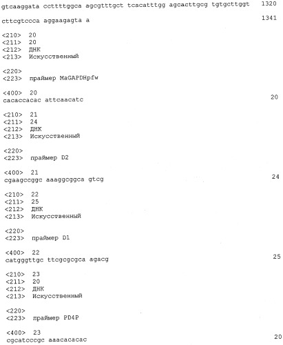 Гомологи фосфатазы фосфатидной кислоты и их применение (патент 2507264)