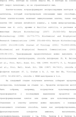 Способ модификации изоэлектрической точки антитела с помощью аминокислотных замен в cdr (патент 2510400)