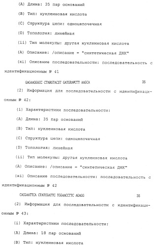 Антитела против белка, родственного паращитовидному гормону человека (патент 2322453)